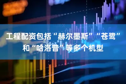 工程配资包括“赫尔墨斯”“苍鹭”和“哈洛普”等多个机型