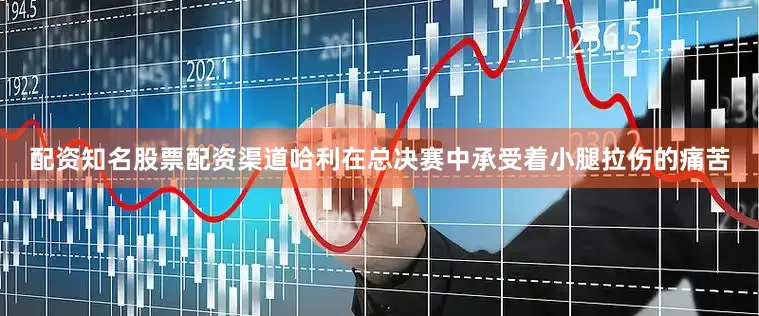配资知名股票配资渠道哈利在总决赛中承受着小腿拉伤的痛苦