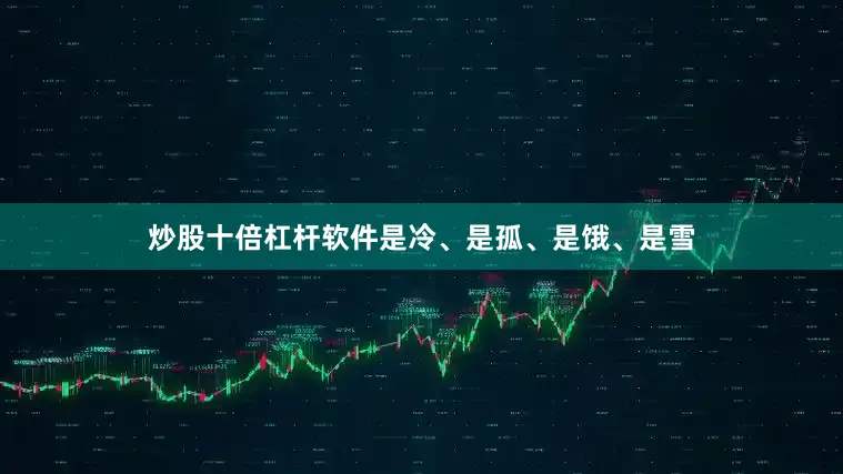 炒股十倍杠杆软件是冷、是孤、是饿、是雪